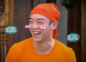 郑恺爆料兄弟视频大全集,视频大全集温情回顾